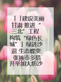 「建设美丽甘肃 推进“三北”工程 构筑“绿色长城”」绿进沙退 生态蝶变 张掖市多措并举加大防沙治沙力度