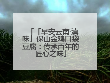 「早安云南·滇味」保山金鸡口袋豆腐：传承百年的匠心之味