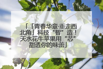 「青春华章·重走西北角」科技“智”造！天水花牛苹果用“芯”甜透你的味蕾