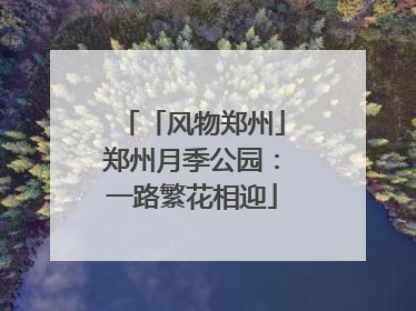 「风物郑州」郑州月季公园：一路繁花相迎