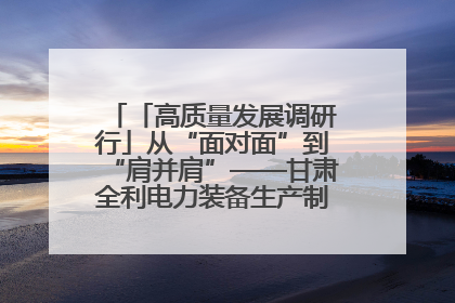 「高质量发展调研行」从“面对面”到“肩并肩”——甘肃全利电力装备生产制造项目一线见闻