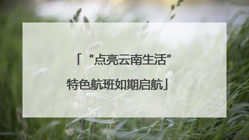 “点亮云南生活”特色航班如期启航