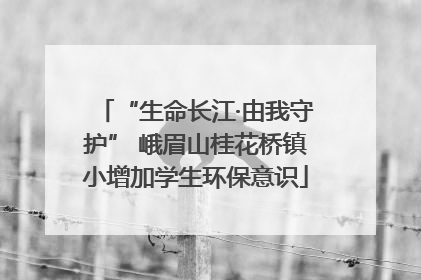 “生命长江·由我守护” 峨眉山桂花桥镇小增加学生环保意识