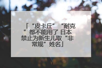 “皮卡丘”“耐克”都不能用了 日本禁止为新生儿取“非常规”姓名
