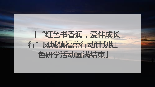 “红色书香润，爱伴成长行”凤城镇福蕾行动计划红色研学活动圆满结束
