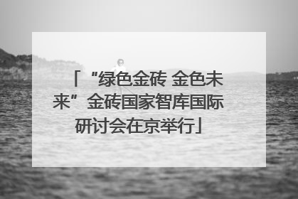 “绿色金砖 金色未来”金砖国家智库国际研讨会在京举行
