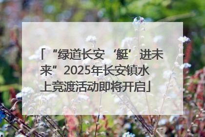“绿道长安‘艇’进未来”2025年长安镇水上竞渡活动即将开启