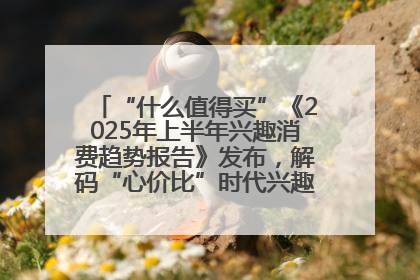 “什么值得买”《2025年上半年兴趣消费趋势报告》发布，解码“心价比”时代兴趣消费新范式