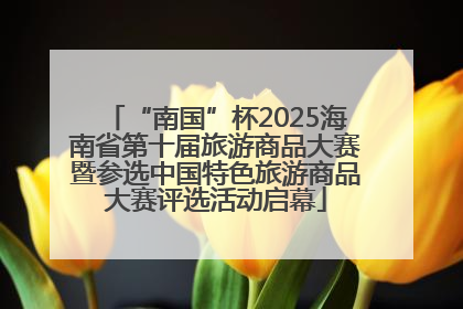 “南国”杯2025海南省第十届旅游商品大赛暨参选中国特色旅游商品大赛评选活动启幕