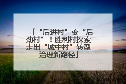 “后进村”变“后劲村”！胜利村探索走出“城中村”转型治理新路径