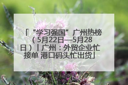 “学习强国”广州热榜（5月22日—5月28日）丨广州：外贸企业忙接单 港口码头忙出货