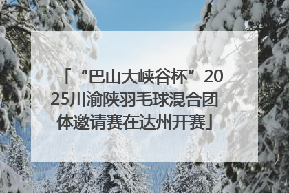 “巴山大峡谷杯”2025川渝陕羽毛球混合团体邀请赛在达州开赛