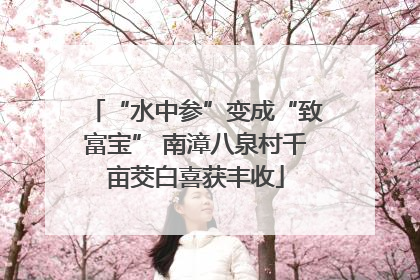 “水中参”变成“致富宝” 南漳八泉村千亩茭白喜获丰收
