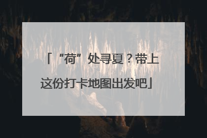 “荷”处寻夏？带上这份打卡地图出发吧
