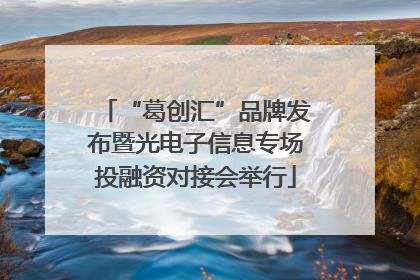 “葛创汇”品牌发布暨光电子信息专场投融资对接会举行
