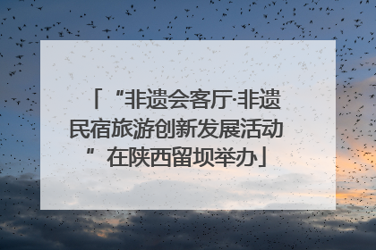 “非遗会客厅·非遗民宿旅游创新发展活动”在陕西留坝举办