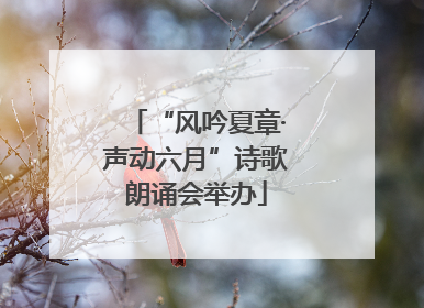 “风吟夏章·声动六月”诗歌朗诵会举办