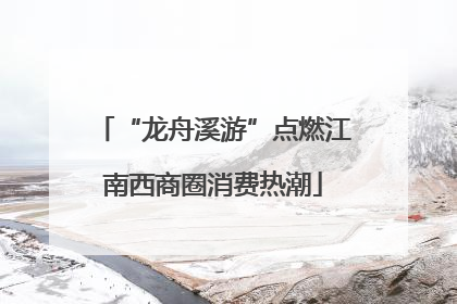 “龙舟溪游”点燃江南西商圈消费热潮