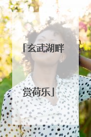 玄武湖畔赏荷乐