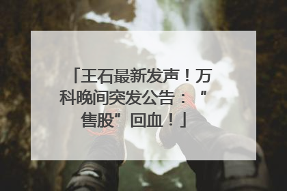 王石最新发声！万科晚间突发公告：“售股”回血！