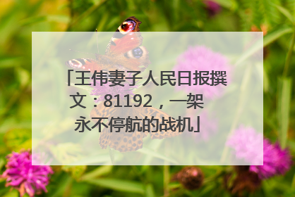王伟妻子人民日报撰文：81192，一架永不停航的战机