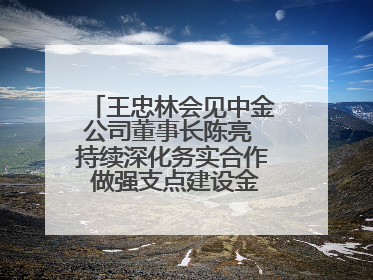 王忠林会见中金公司董事长陈亮 持续深化务实合作 做强支点建设金融支撑