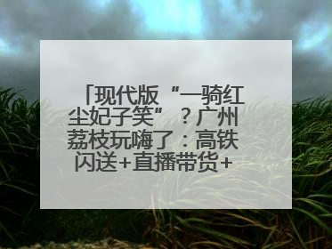 现代版“一骑红尘妃子笑”？广州荔枝玩嗨了：高铁闪送+直播带货+5折开吃