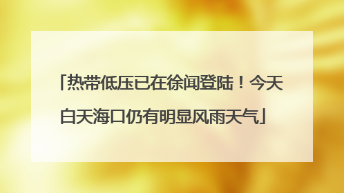 热带低压已在徐闻登陆！今天白天海口仍有明显风雨天气