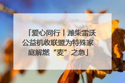 爱心同行丨潍柴雷沃公益机收联盟为特殊家庭解燃“麦”之急
