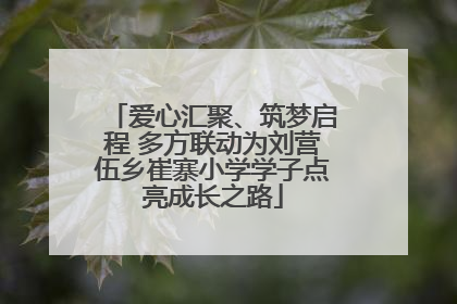 爱心汇聚、筑梦启程 多方联动为刘营伍乡崔寨小学学子点亮成长之路