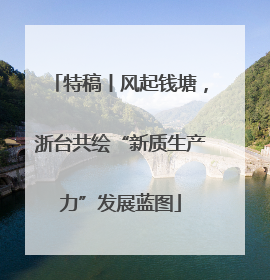 特稿丨风起钱塘，浙台共绘“新质生产力”发展蓝图