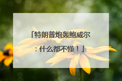 特朗普炮轰鲍威尔：什么都不懂！