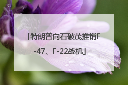 特朗普向石破茂推销F-47、F-22战机