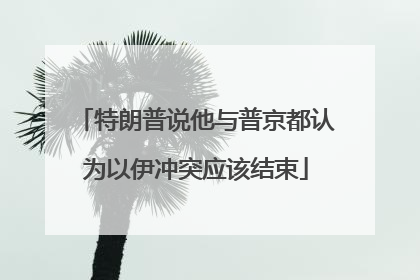 特朗普说他与普京都认为以伊冲突应该结束