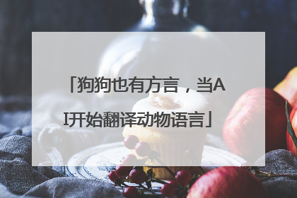 狗狗也有方言，当AI开始翻译动物语言