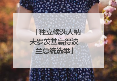独立候选人纳夫罗茨基赢得波兰总统选举