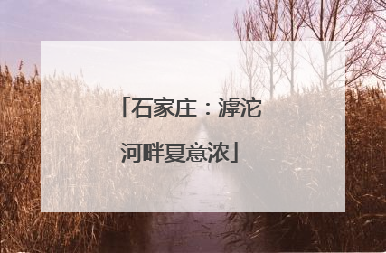石家庄：滹沱河畔夏意浓