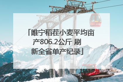 睢宁稻茬小麦平均亩产806.2公斤 刷新全省单产纪录