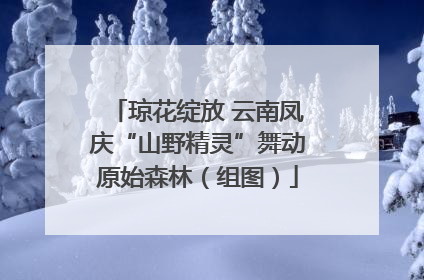 琼花绽放 云南凤庆“山野精灵”舞动原始森林（组图）