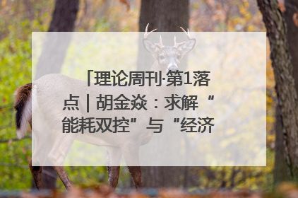 理论周刊·第1落点｜胡金焱：求解“能耗双控”与“经济增长”矛盾