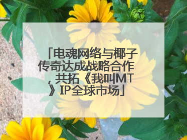 电魂网络与椰子传奇达成战略合作，共拓《我叫MT》IP全球市场