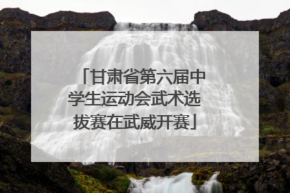甘肃省第六届中学生运动会武术选拔赛在武威开赛