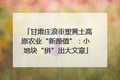 甘肃庄浪重塑黄土高原农业“新颜值”：小地块“拼”出大文章