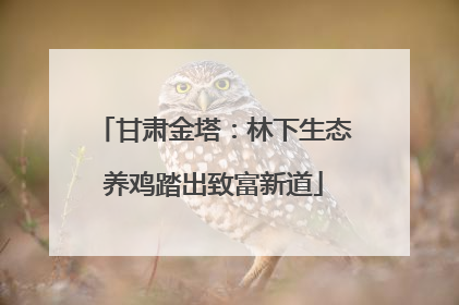 甘肃金塔：林下生态养鸡踏出致富新道