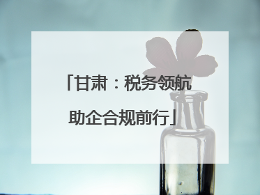 甘肃：税务领航 助企合规前行