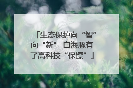 生态保护向“智”向“新” 白海豚有了高科技“保镖”