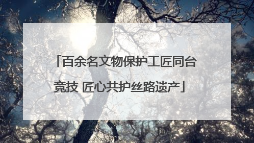 百余名文物保护工匠同台竞技 匠心共护丝路遗产