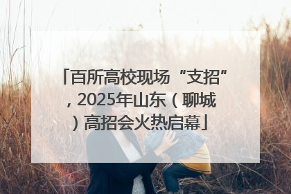 百所高校现场“支招”，2025年山东（聊城）高招会火热启幕