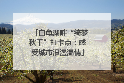 白龟湖畔“绮梦秋千”打卡点：感受城市浪漫温情