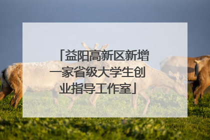 益阳高新区新增一家省级大学生创业指导工作室
